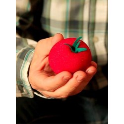 The Incredible Growing Sponge Tomato by Under Magic