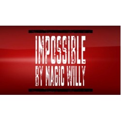 IMPOSSIBLE TRICK by Magic Willy