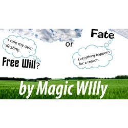 Fate or Free Will by Magic Willy