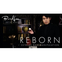 REBORN by Bond Lee