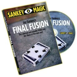 Final Fusion by Jay Sankey