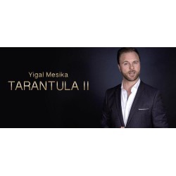 Tarantula II by Y M