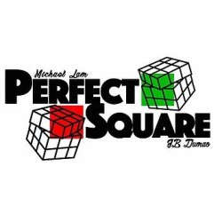 Perfect Square by Michael Lam