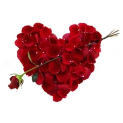 Valentine by Dynamite