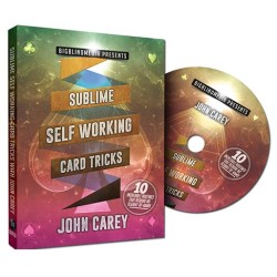Sublime Self Working Card Tricks by John Carey