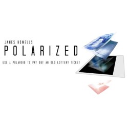 Polarized by James Howells