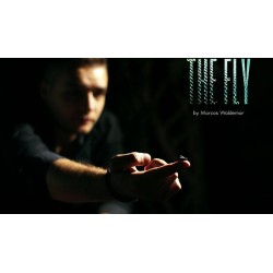 The FLY by Marcos Waldemar