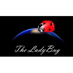 The Ladybug by Hugo Valenzuela