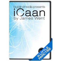 iCaan Card At Any Number by James Went