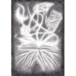 The Book of Light by Tom Phoenix