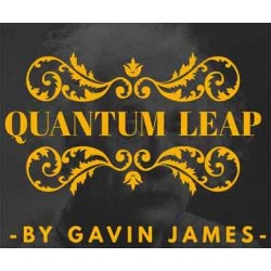 Quantum Leap by Gavin James