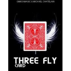 Three Fly Card by Mickael Chatelain