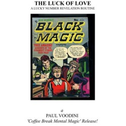The Luck of Love by Paul Voodini