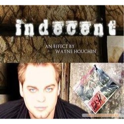 INDECENT by Wayne Houchin