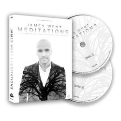 Meditations by James Went