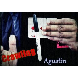 Crawling by Agustin