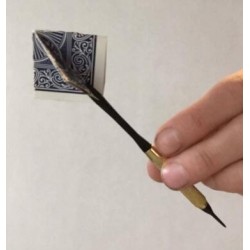 Card Flight by Ron Jaxon