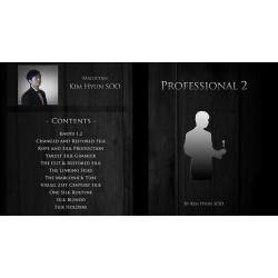 Professional 2 by Kim Hyun Soo
