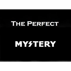 The Perfect Mystery by Johnny Silver