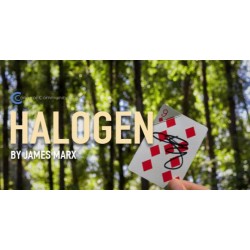 HALOGEN by James Marx