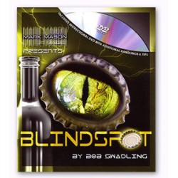 Blindspot by Bob Swadling and JB