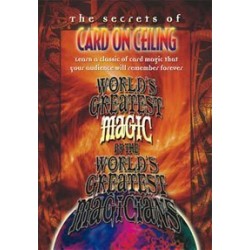 WGM - CARD ON CEILING