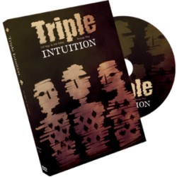 2013 Triple intuition by Dani da Ortiz