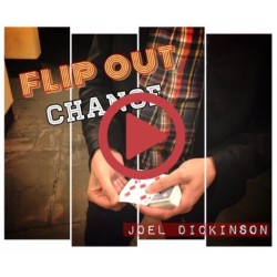 Flip Out Change By Joel Dickinson