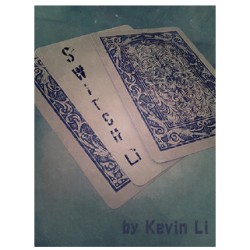 2014 Switchli by Kevin Li
