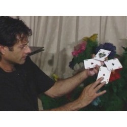 Rocco - Card Manipulations