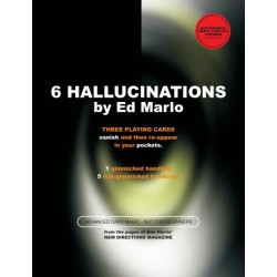 6 Hallucinations by Ed Marlo