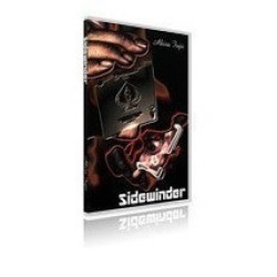 2011 Sidewinder by Akira Fujii
