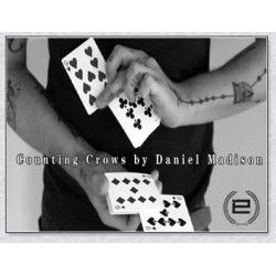 2014 Counting Crows by Daniel Madison