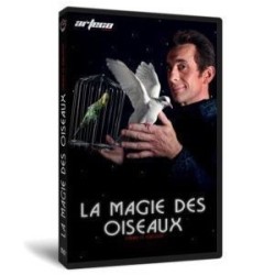 L'Univers Des Colombes by Gerald Le Guilloux