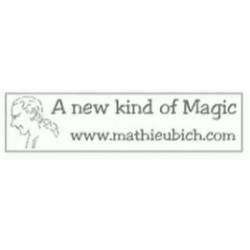 Bich's Acrobatic Double by Mathieu Bich