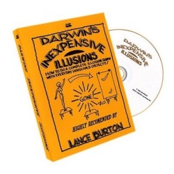 Inexpensive Illusions by Gary Darwin