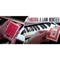 2011 Vanishing Pandora by Liam Montier