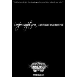 David Fulde - Impromptorn