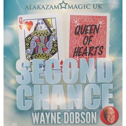 Second Chance by Wayne Dobson