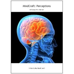 MindCraft Perceptions by Bill Dekel