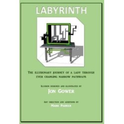 Labyrinth Illusion e-book by Jon Gower & Mark Parker