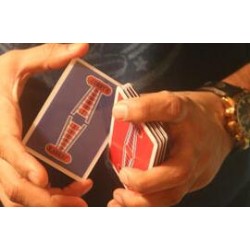 Magic Encarta Presents VERTIGO by Vivek Singhi