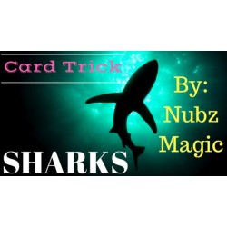 SHARKS By NubzMagic