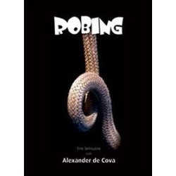 Robing by Alexander De Cova