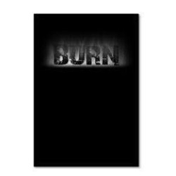 Daniel Madison - BURN