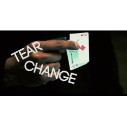 Brandon Williams - Tear Change