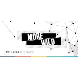 Peter Pallikaan - More Wild