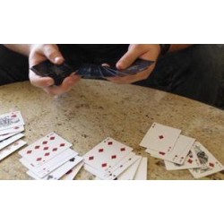 2011 Ellusionist Slider Double by Mike Hankins