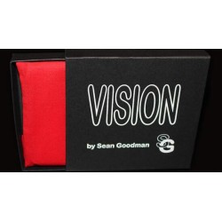 Vision by Sean Goodman