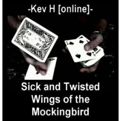 Kevin Ho - Sick and Twisted Wings of the Mockingbird
